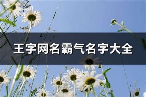 很酷的网名|带酷字的网名